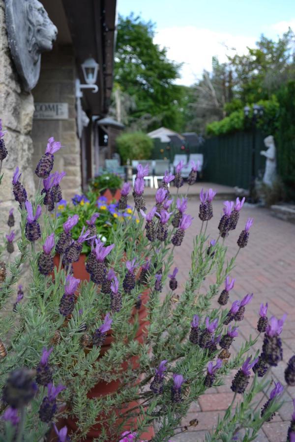 Castle Green Bed And Breakfast Ashbourne  Eksteriør bilde