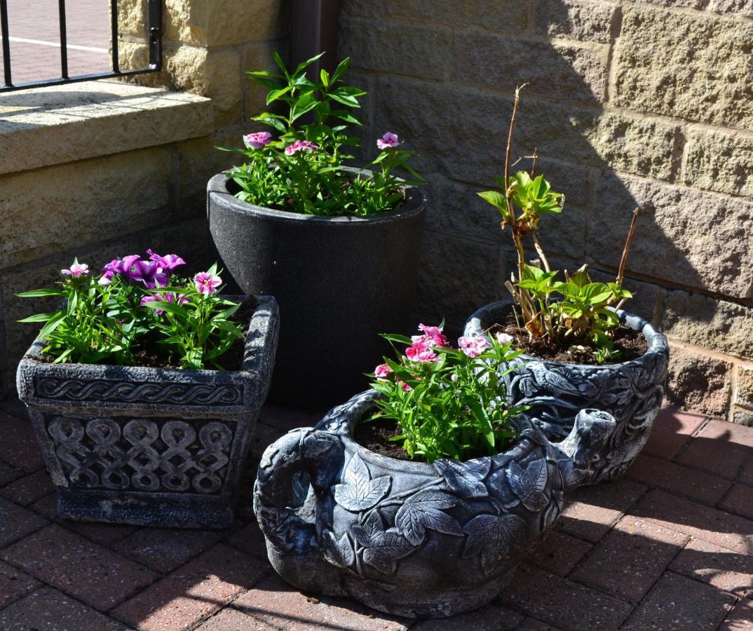 Castle Green Bed And Breakfast Ashbourne  Eksteriør bilde